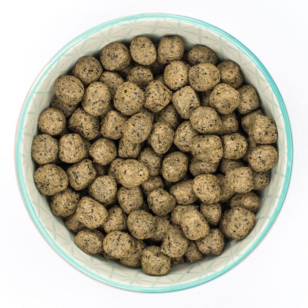 Burns Adult & Senior Sensitive Grain-Free - Turkey & Potato || Burns || view 4