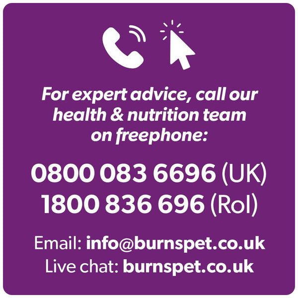 Burns Adult & Senior Cat Original Chicken & Brown Rice || Burns || view 11