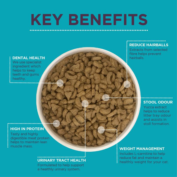 Burgess Neutered Cat with Chicken || Burgess || view 3