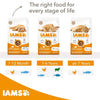 IAMS Advanced Nutrition Adult Cat with Ocean Fish || IAMS || view 8