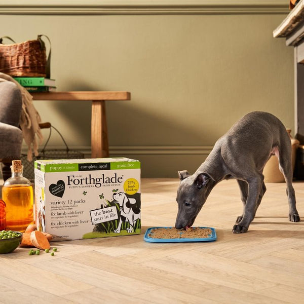 Forthglade Complete Meal Grain Free Puppy Dog - Lamb & Chicken || Forthglade || view 7