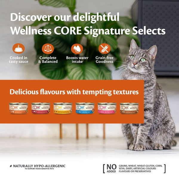 Wellness Core Signature Selects Adult Wet Cat Food || Wellness Core || view 13