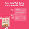 Wellness Core Tender Cuts Adult Wet Cat Food || Wellness Core || view 15