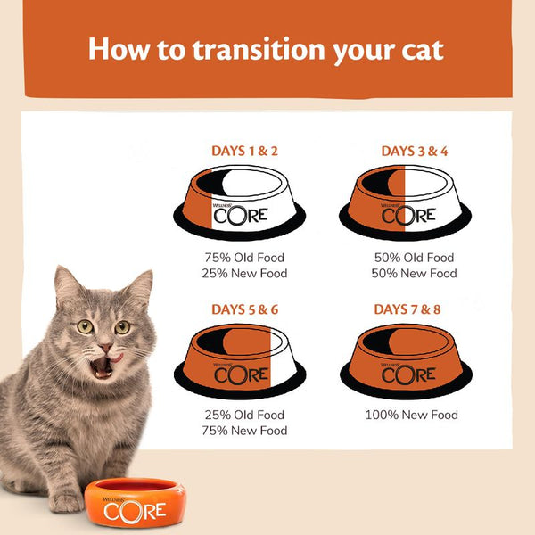 Wellness Core Adult Ocean Dry Cat Food || Wellness Core || view 7