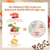 Wellness Core Adult Sterilised Ocean Dry Cat Food || Wellness Core || view 6