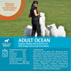 Wellness Core Medium & Large Adult Ocean Dry Dog Food || Wellness Core || view 3
