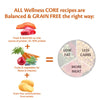 Wellness Core Medium & Large Adult Ocean Dry Dog Food || Wellness Core || view 4