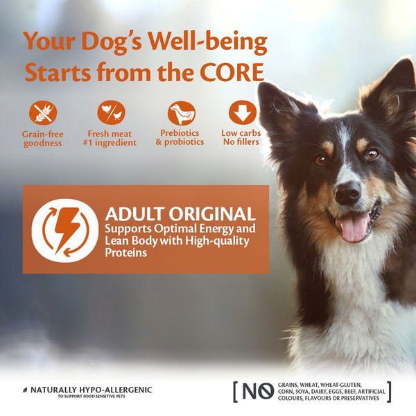 Wellness Core Medium Adult Original Dry Dog Food || Wellness Core || view 2