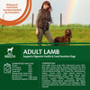 Wellness Core All Breeds Adult Lamb Dry Dog Food || Wellness Core || view 3