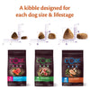 Wellness Core All Breeds Adult Lamb Dry Dog Food || Wellness Core || view 6