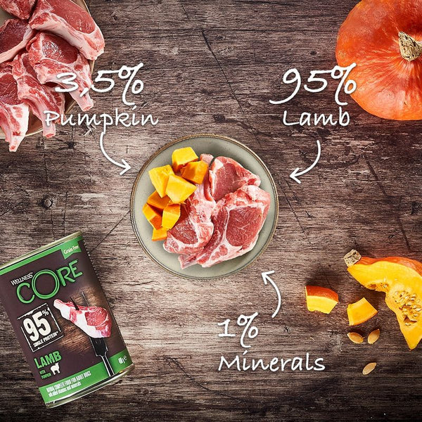 Wellness Core Adult 95% Single Protein Lamb & Pumpkin Wet Dog Food || Wellness Core || view 4