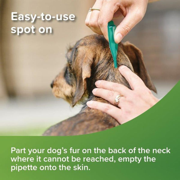 beaphar VETOpure Plant-Based Protection Flea Spot-On for Dogs (<15kg) || beaphar || view 6