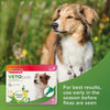 beaphar VETOpure Plant-Based Protection Flea Spot-On for Dogs (<15kg) || beaphar || view 7