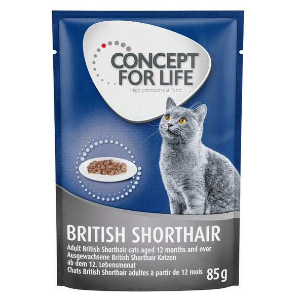 Concept for Life British Shorthair Adult - in Ragout || undefined || view 1