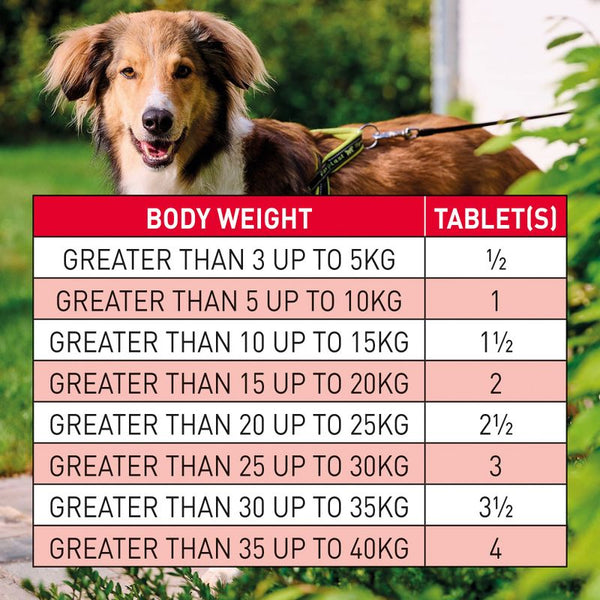 beaphar WORMclear® Tablets for Dogs || beaphar || view 10