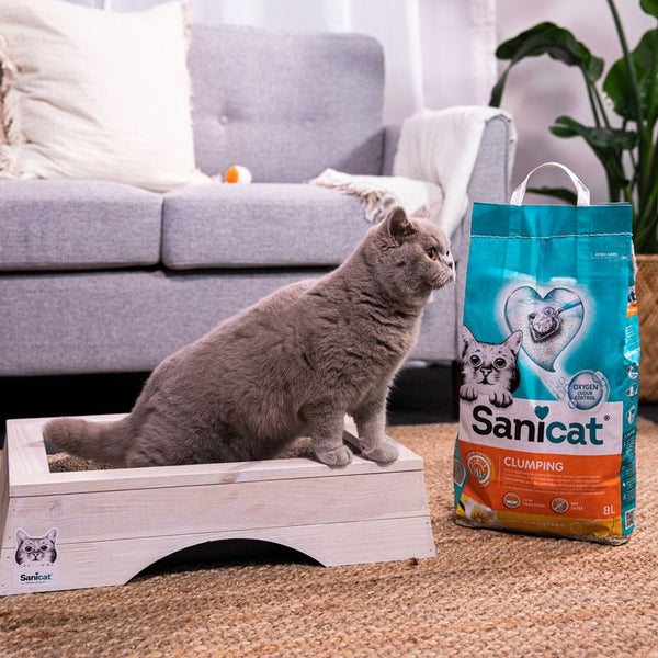 Sanicat Vanilla Mandarin Clumping Cat Litter || Sanicat || view 5