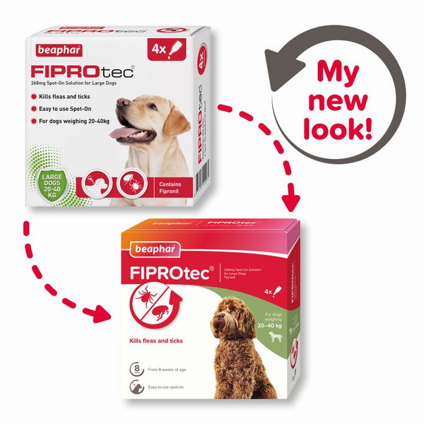 beaphar FIPROtec® Flea & Tick Spot-on For Dogs - L (20-40kg) || beaphar || view 4