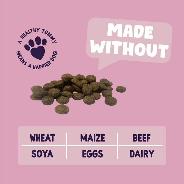 Burgess Sensitive Adult Dog Salmon || Burgess || view 7