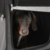 Fiona Collapsible Dog Transport Box || zooplus Exclusive || view 7