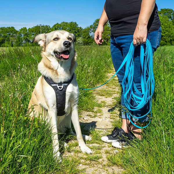 Pawz & Pepper Strong Tracking Line - Blue || Petlando || view 7