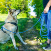Pawz & Pepper Round Braided Tracking Line - Blue || Petlando || view 2