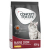 Concept for Life Maine Coon Adult || Concept for Life || view 2