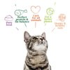 Yarrah Organic Fillets in Sauce 14 x 85g || Yarrah || view 5