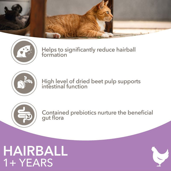 IAMS Advanced Nutrition Hairball with Chicken || IAMS || view 3
