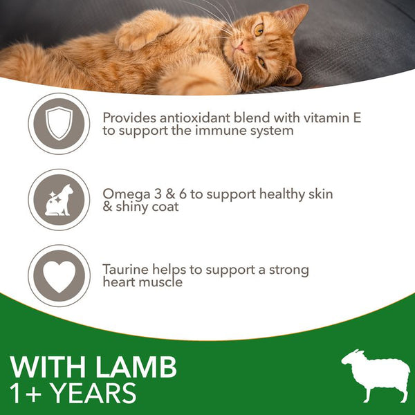 IAMS Advanced Nutrition Adult Cat with Lamb || IAMS || view 4