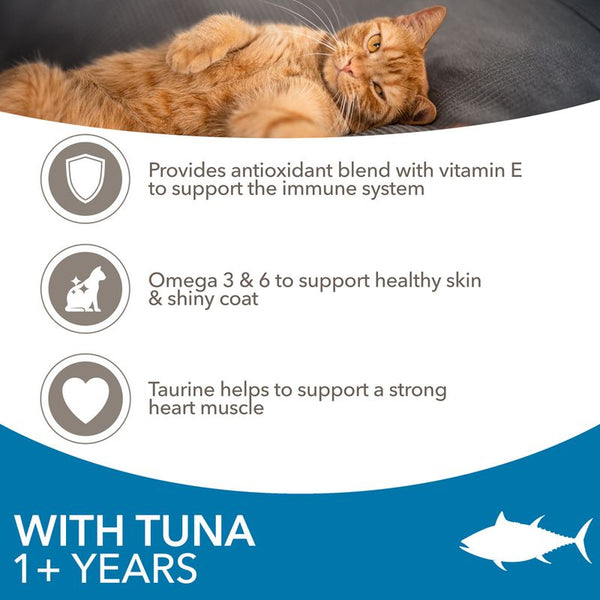 IAMS Advanced Nutrition Adult Cat with Tuna || IAMS || view 4
