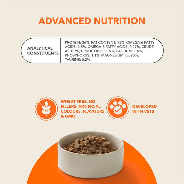 IAMS Advanced Nutrition Senior Cat 11+ with Chicken || IAMS || view 5