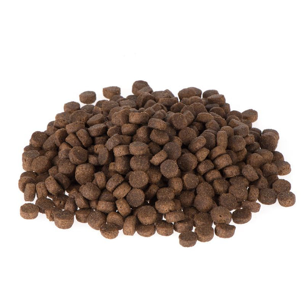 Briantos Junior || briantos || view 6