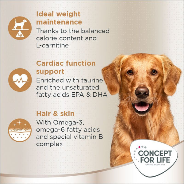 Concept for Life Golden Retriever Adult || Concept for Life || view 4