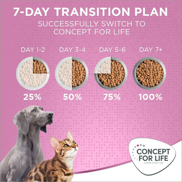 Concept for Life Kitten || Concept for Life || view 15