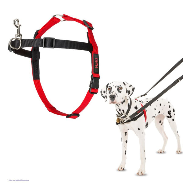Halti Front Control Training Harness || Halti || view 6