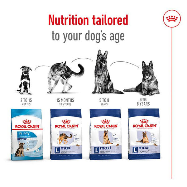 Royal Canin Maxi Adult || Royal Canin Size || view 6