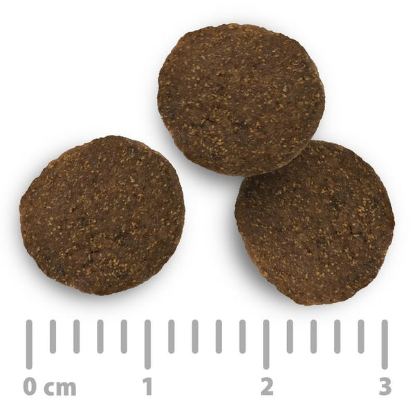 Purizon Grain-Free 80:20:0 Economy Packs 2 x 12kg || Purizon || view 23