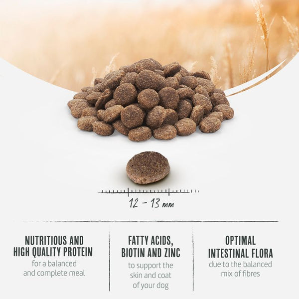 Briantos Adult Grain-Free Salmon & Potato || briantos || view 5