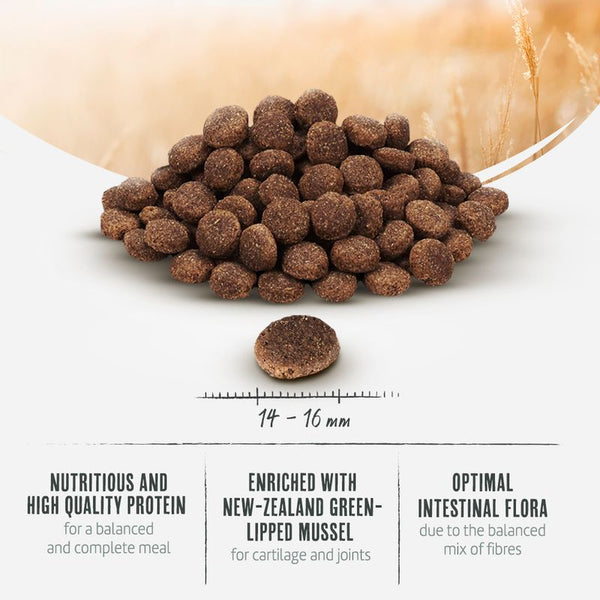 Briantos Maxi Adult || briantos || view 7