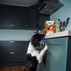 HiLife Dog Selection in Broth 8 x 150g || HiLife || view 4
