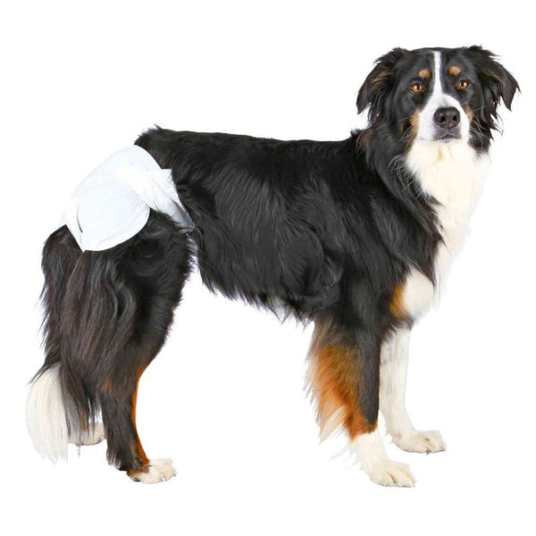 Trixie Nappies for Female Dogs || Trixie || view 1