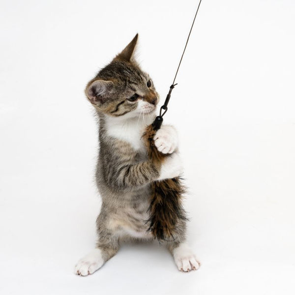 XXL 3-in-1 Cat Dangler Toy || undefined || view 12