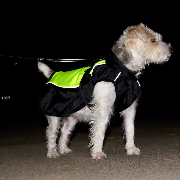 Illume Nite Dog Coat - Neon || zooplus Exclusive || view 10