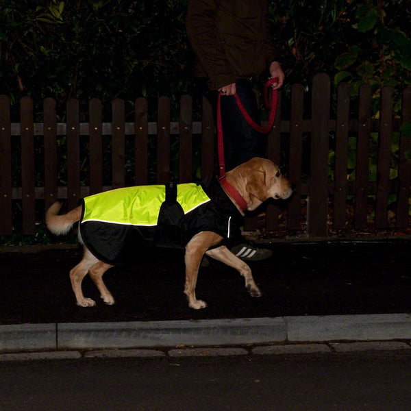 Illume Nite Dog Coat - Neon || zooplus Exclusive || view 11
