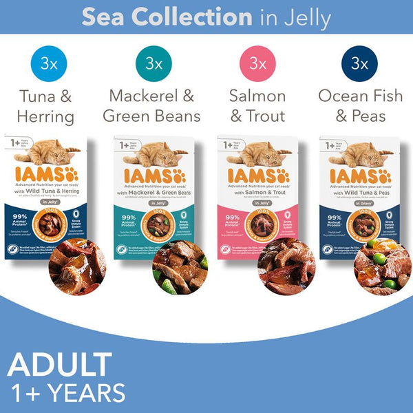 IAMS Advanced Nutrition Adult – Sea Collection || undefined || view 4