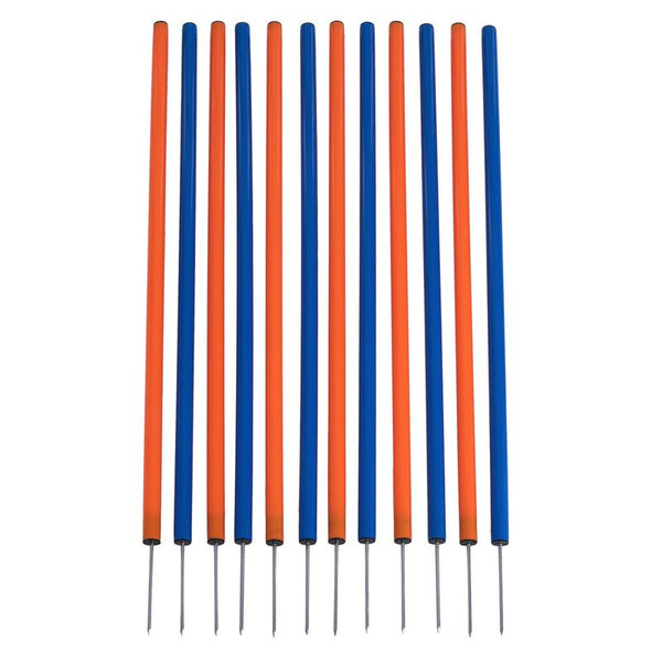Fun & Sport Dog Agility Weave Poles || zooplus Exclusive || view 3