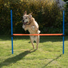 Fun & Sport Dog Agility Jumping Hoop || zooplus Exclusive || view 13
