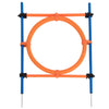Fun & Sport Dog Agility Jumping Hoop || zooplus Exclusive || view 3