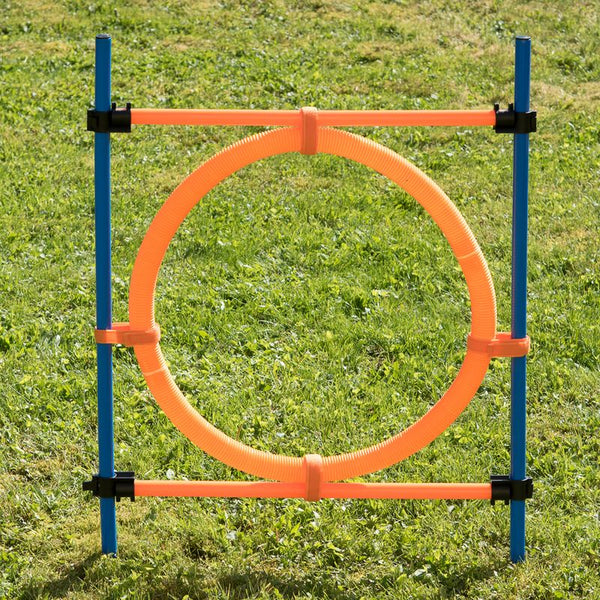 Fun & Sport Dog Agility Jumping Hoop || zooplus Exclusive || view 2