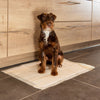 kooa Puppy Training Pads with Bamboo || kooa || view 14